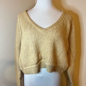 NWT Free People V-Neck Sweater